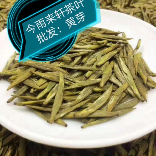 雅安 蒙顶黄芽高山茶
