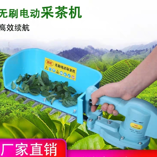 永康市采茶机 电动 汽油机