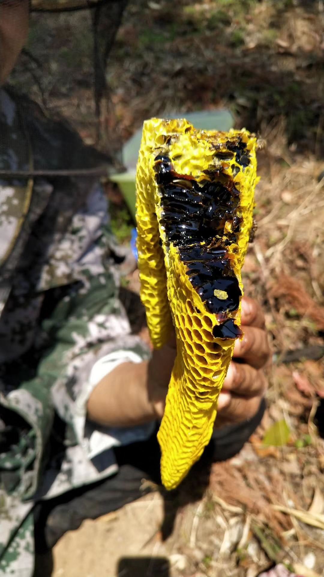  黑蜂蜜