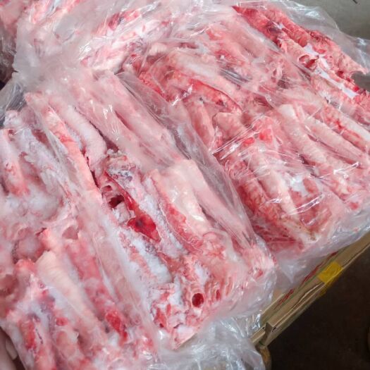 聊城猪食管 器管