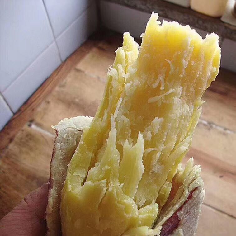 白心红薯 东西正经