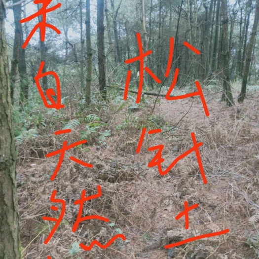 修文县间接肥料