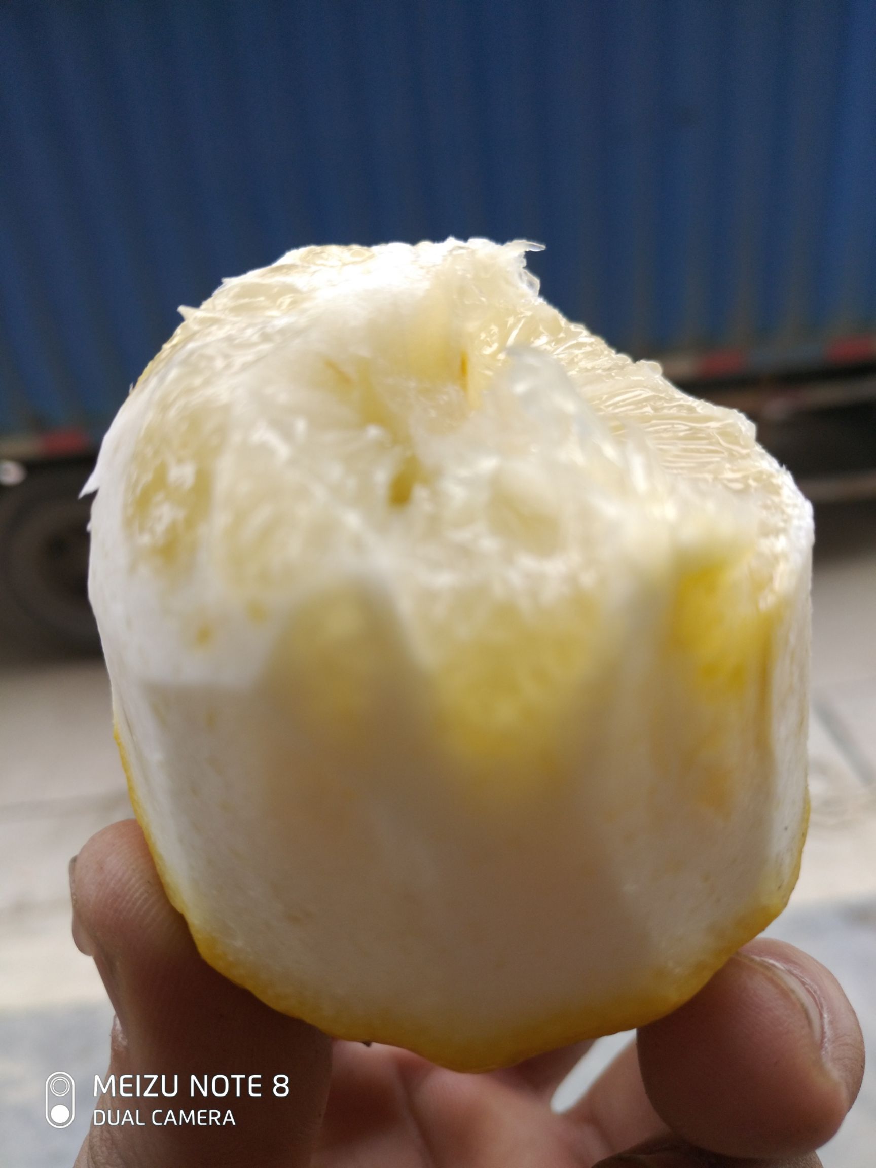  广东香水无籽柠檬，有青皮有黄皮的，奶茶店**果