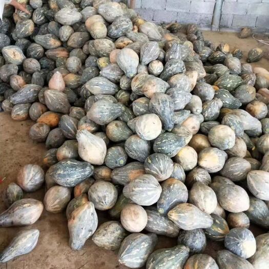 江永县大量供应香芋南瓜