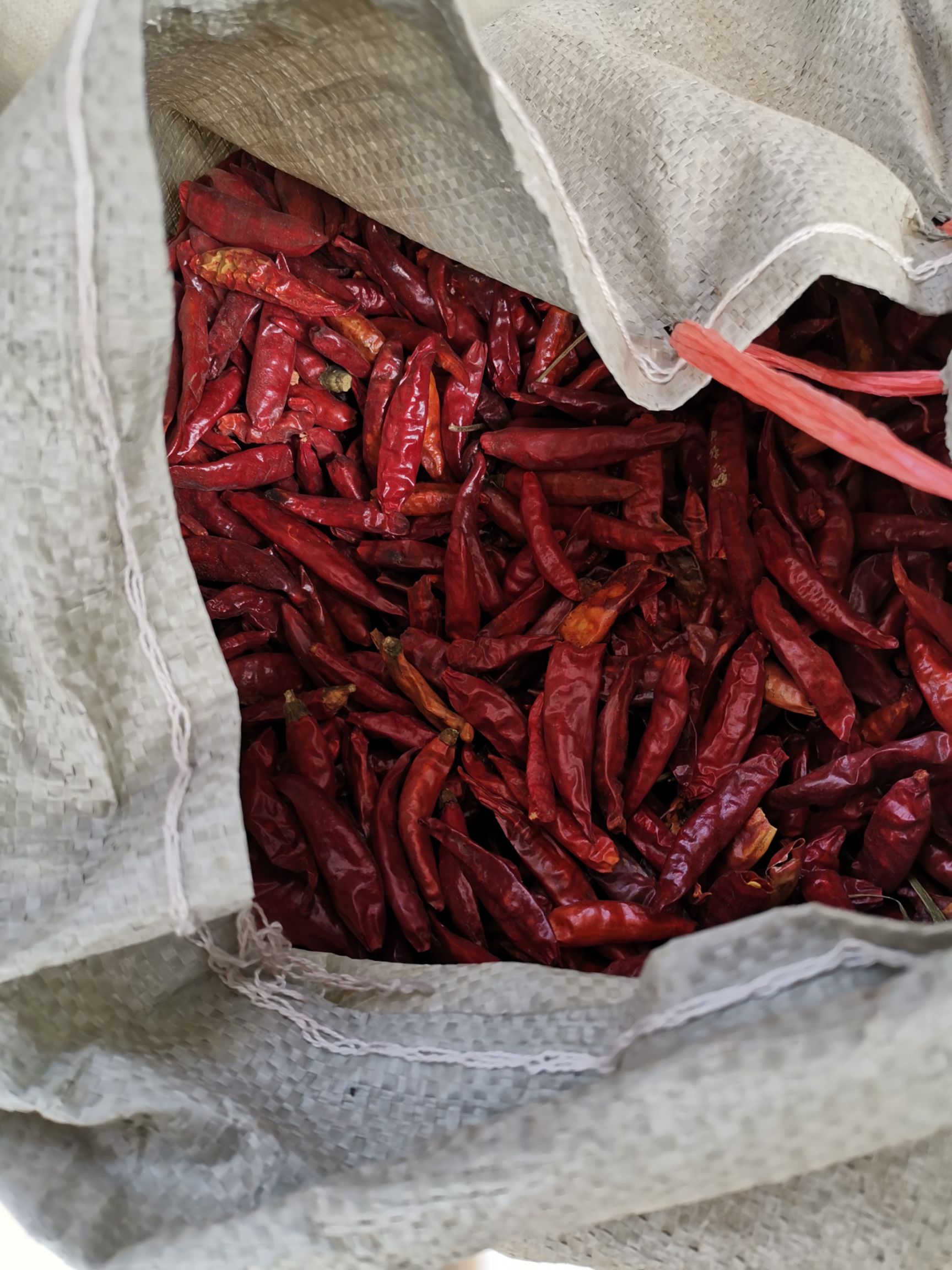 行情大厅  蔬菜 辣椒 三樱椒  山西忻州代县