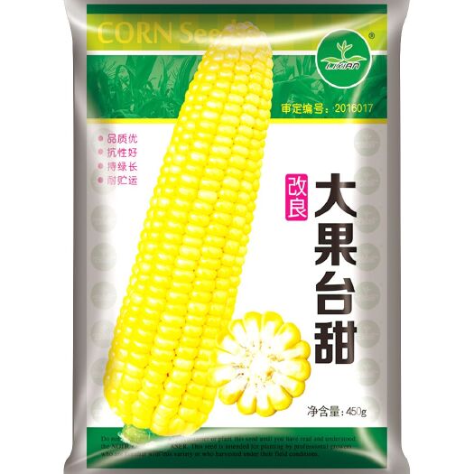 湛江 大果台甜玉米种子改良品种抗性好品质优持绿长全店满三袋包邮