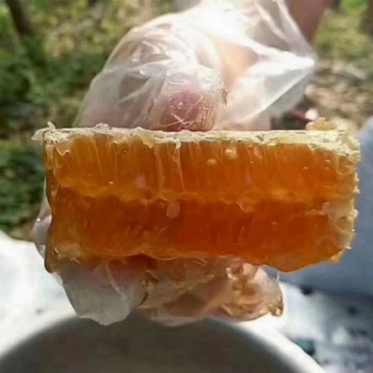中山市 蜂巢蜜，让您生活甜蜜蜜，品质保证