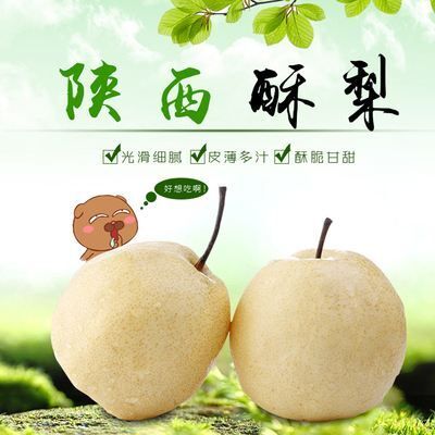 蒲城县 陕西蒲城酥梨   包邮     支持一件代发