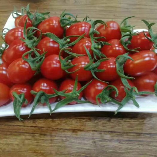 滑县 圣女果口感好味道独特色度量甜度高汁多饱满！