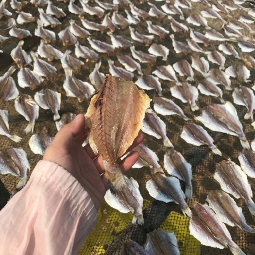 澄迈县银鱼干 自家出海，自晒的干货，的，不加任何防腐剂，