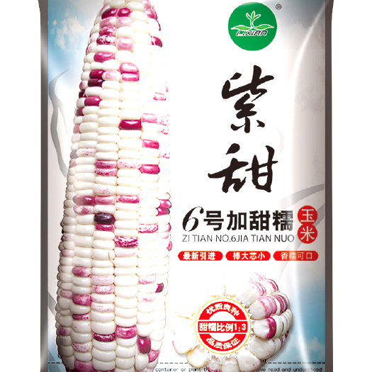 湛江 紫甜6号加甜糯种子 糯玉米种子 彩糯玉米种子加甜糯玉米种
