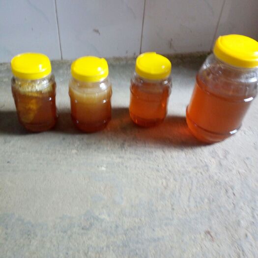  大量冬蜜批发
