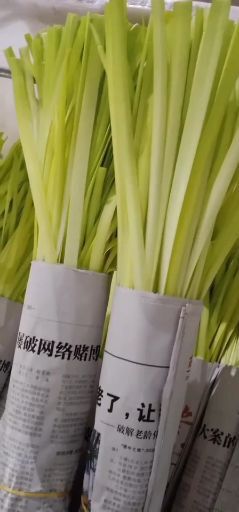 韭黄  无公害