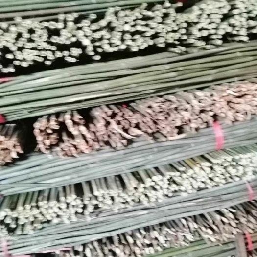 耒阳市麻竹