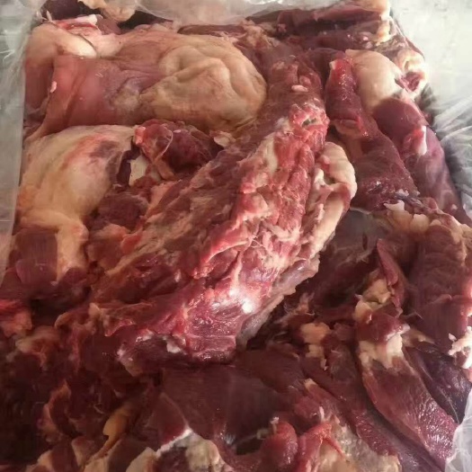 淮北 纯干纯羊肉