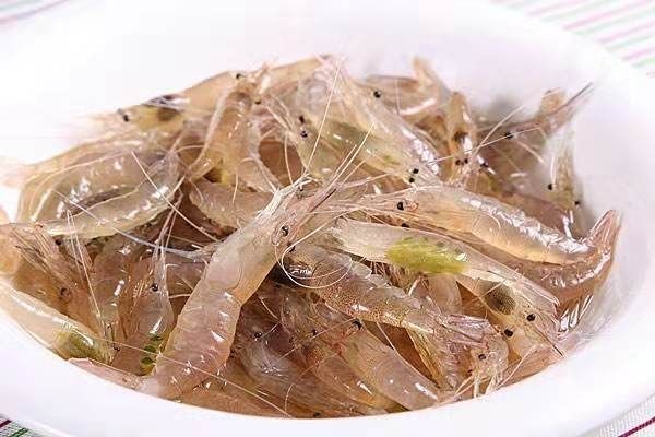 新沂市 白米虾