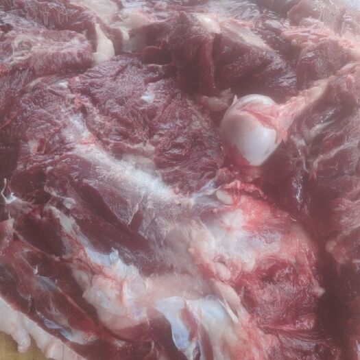 高阳县鲜驴肉  每日现杀驴肉