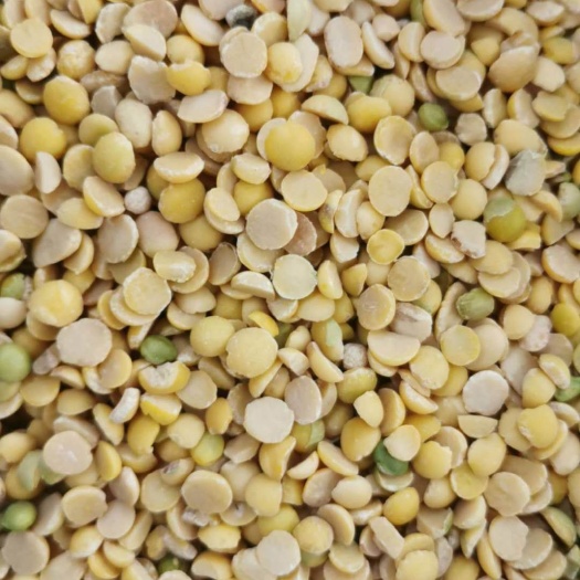 北票市 黄豆瓣