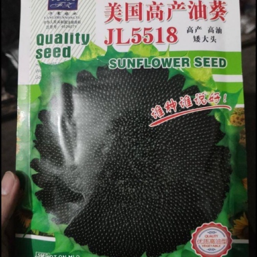 夏邑县 向日葵种子  美国高产油葵种子  高产  油高 大头