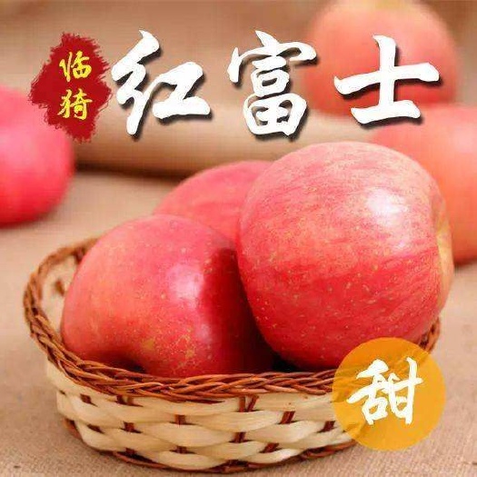 红富士苹果  山西临猗冰糖心红富士苹果  口感脆甜