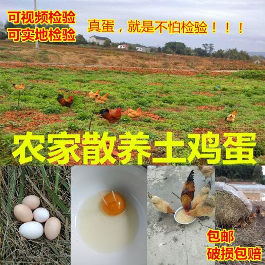 邻水县 自家散养土鸡蛋