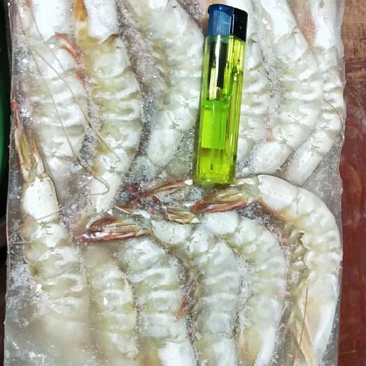 防城港 深海弹虾，皮虾虾20一斤，生冻大明虾50一斤，50斤挑发货