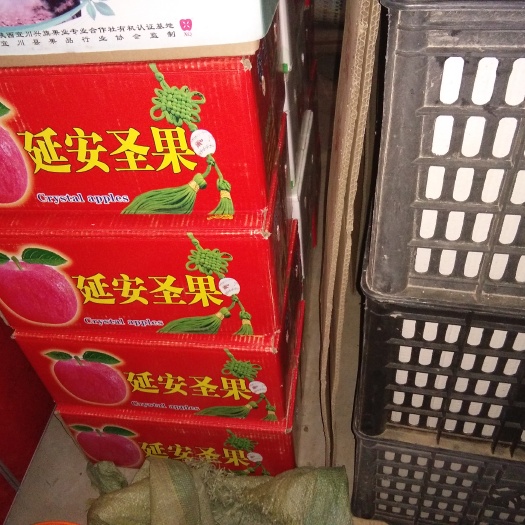 宜川县光果富士苹果，7公斤箱快递，黄土高坡塬上宜川县降头村，
