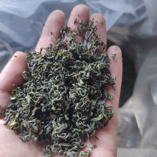 松阳县 高手绿茶样品