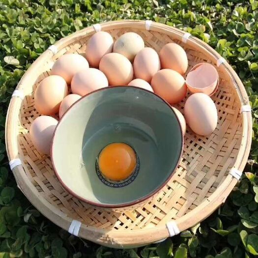 青阳县 一件代发 微商福利 皖南精品土鸡蛋 虫草蛋 只发当天蛋