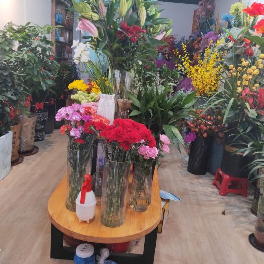 厦门景观盆栽