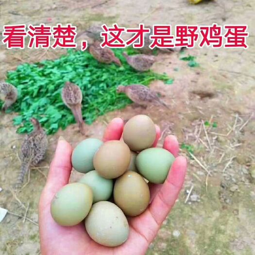 霍州市七彩土鸡蛋 看看这是啥