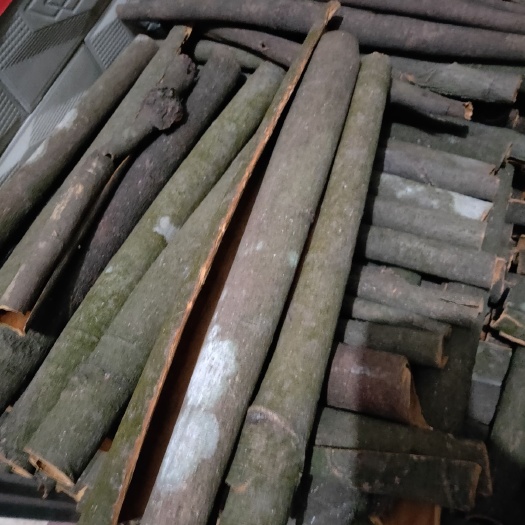 郁南县 生桂皮【优惠包邮】新鲜干桂皮现剥现晒大量供应