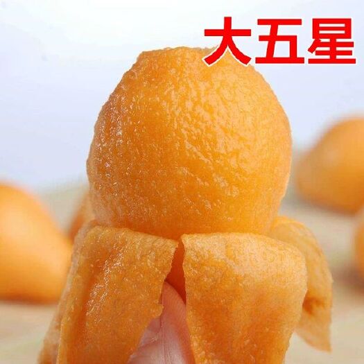 平邑县大五星枇杷苗  优质枇芭苗  真正嫁接好苗   大五星品种 包结果  包邮