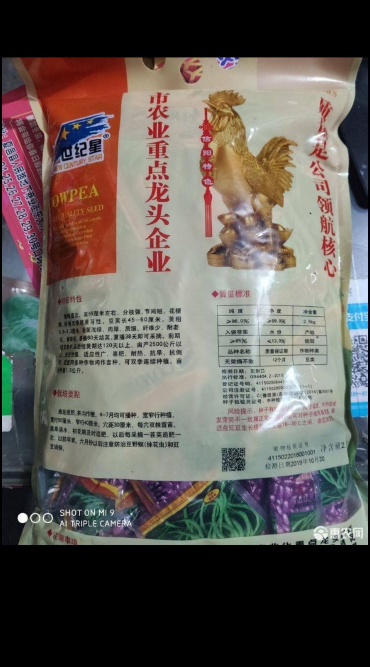  无架摘不败  豆角种子2500克  早熟  口感好  产量高