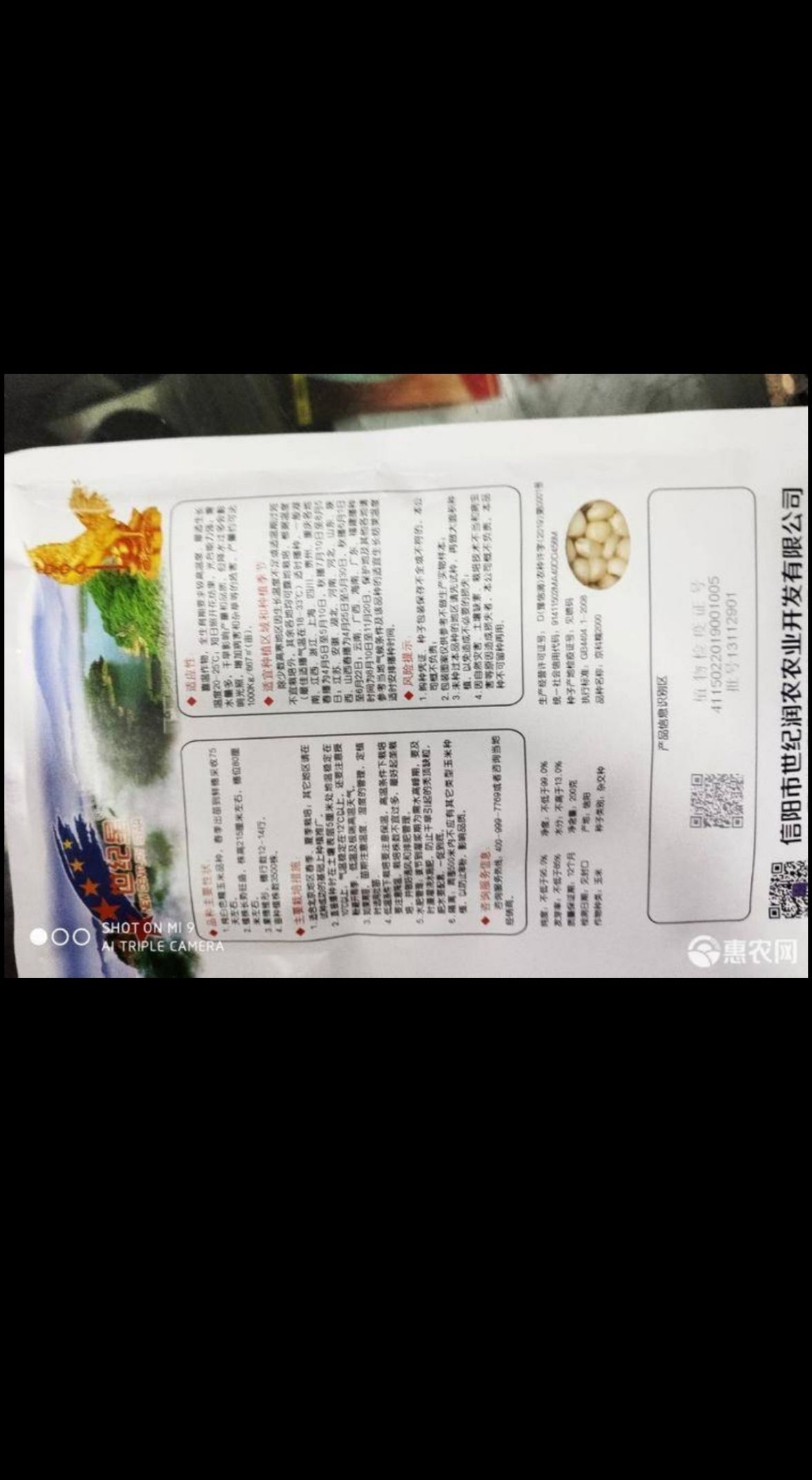 糯玉米种子 金科糯2000 糯米种子   （最好的糯米品种）
