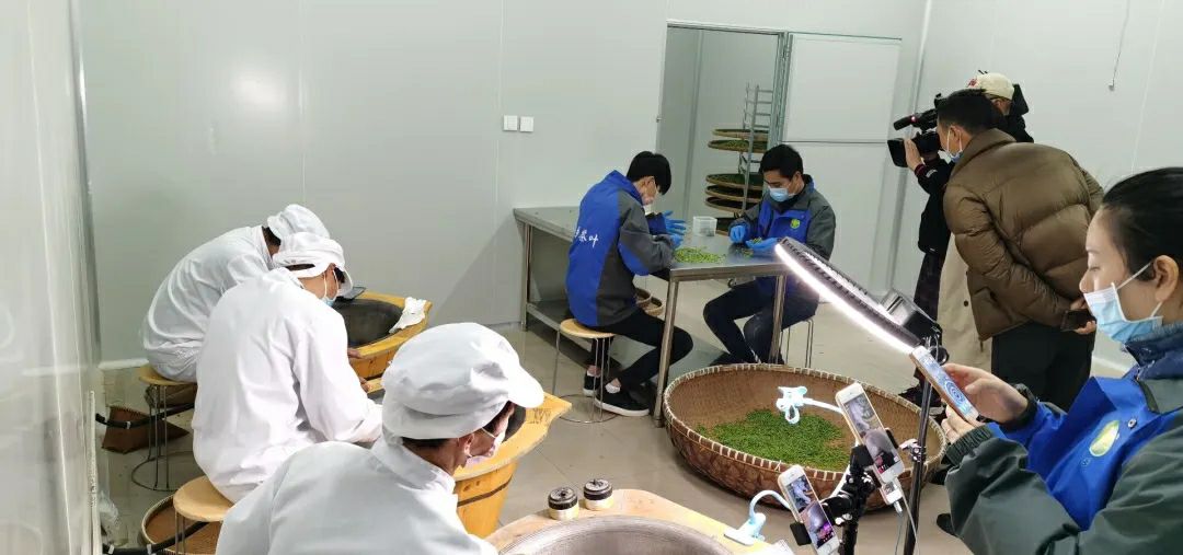 越乡龙井茶 山农茶叶《龙井茶》