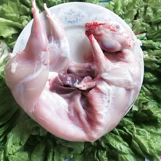 临西县兔肉类  家养的去皮新鲜兔肉现杀兔肉  坏单包赔