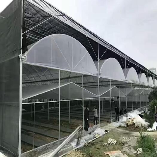 沭阳县连栋棚 连栋温室大棚