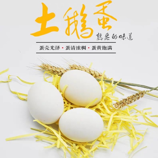 大名县大三花鹅蛋 合作社养殖户