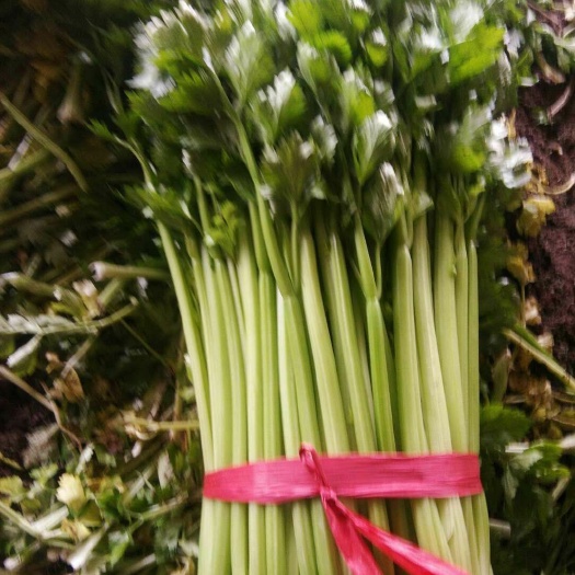 皇后芹菜
