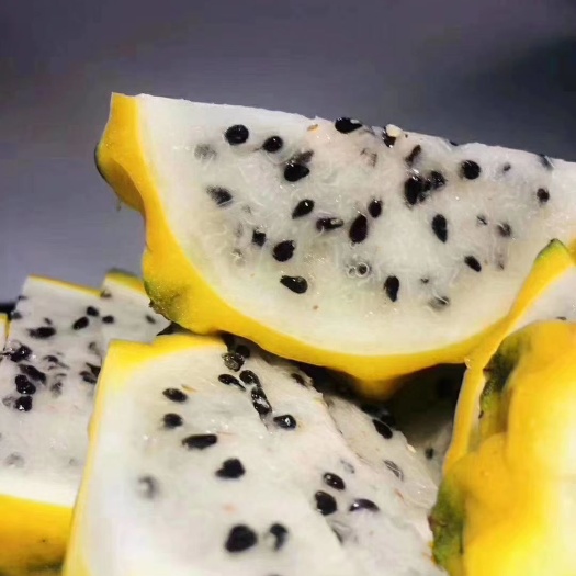 佛山黄皮火龙果 精品燕窝果/麒麟果