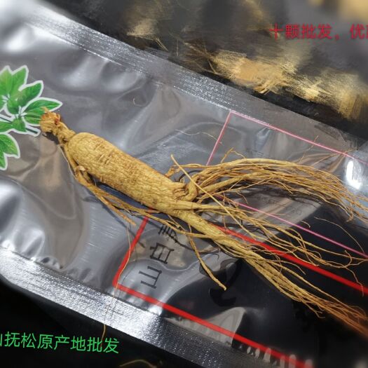 抚松县林下参批发价出售，十颗批发，优惠到家