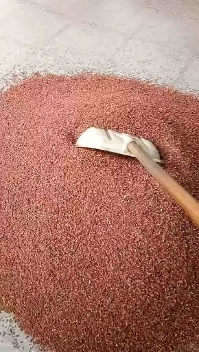 芮城县【包邮】大红袍花椒 梅花椒 打粉椒拒绝产假干净无杂 一件代