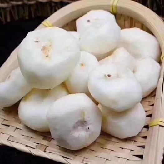 乐昌市 韶关市乐昌市北乡马蹄