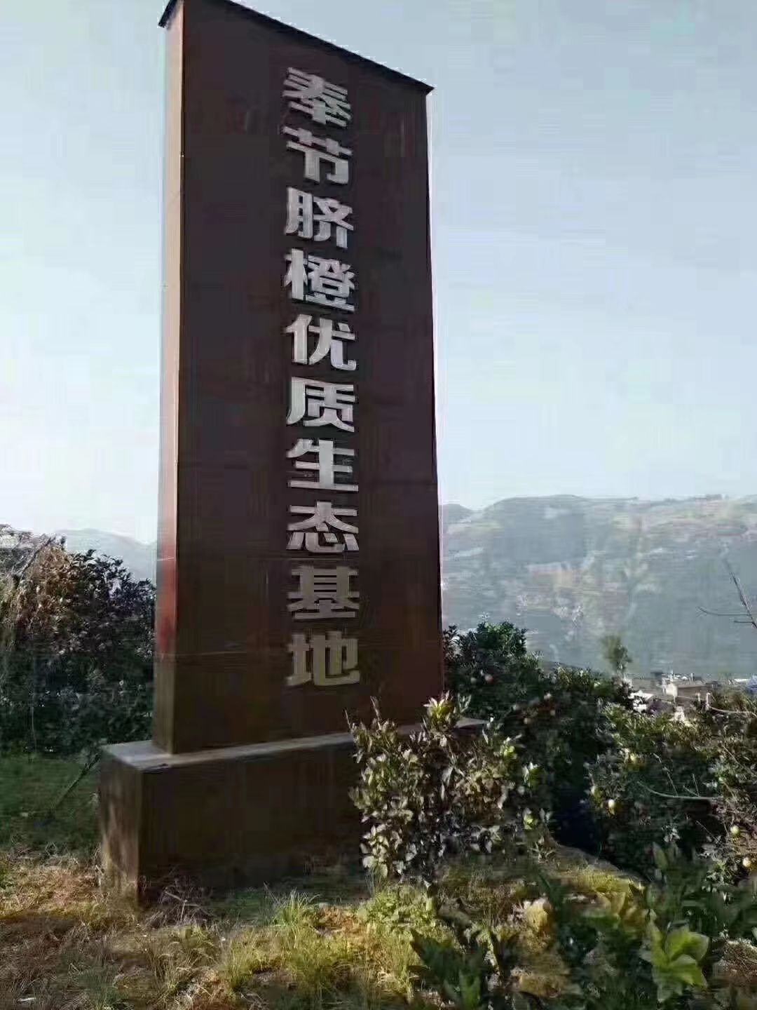 优质奉节脐橙批发零售电商微商直供社区团购一件代发