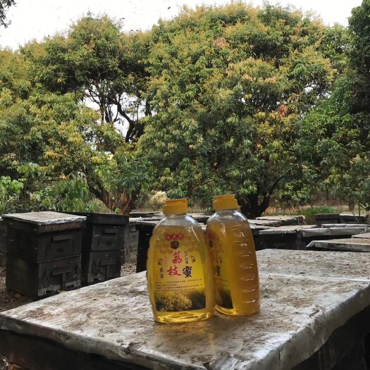 高州市荔枝蜜  2025荔枝蜂蜜