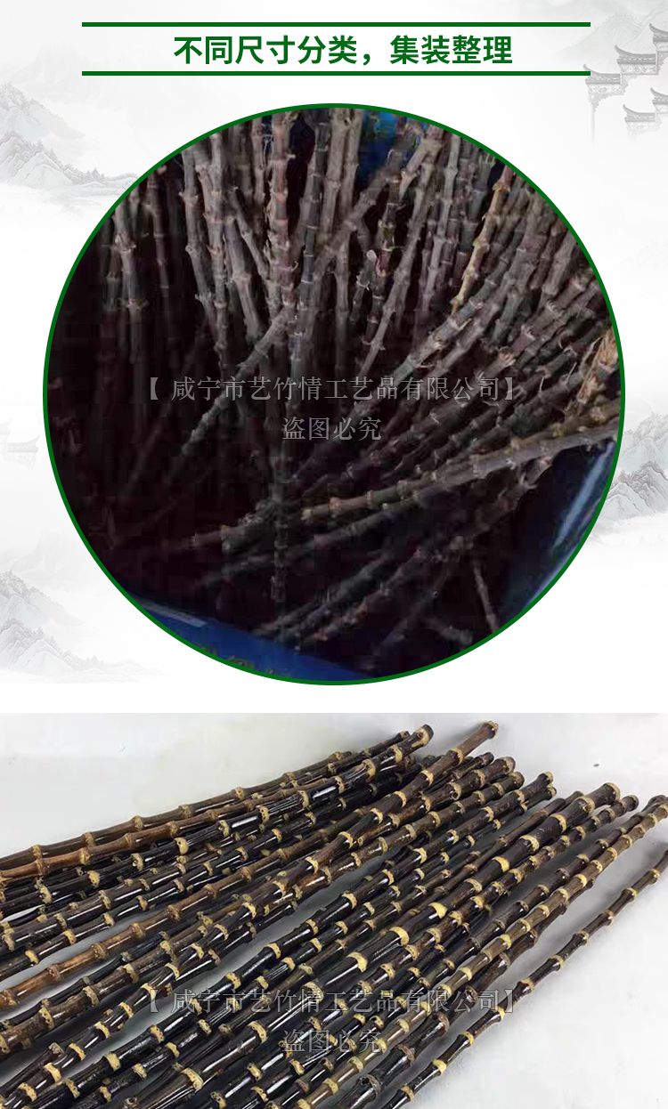  紫竹根 紫竹鞭 实心竹把件竹节烟斗精品紫竹根佛珠手串竹子竹根