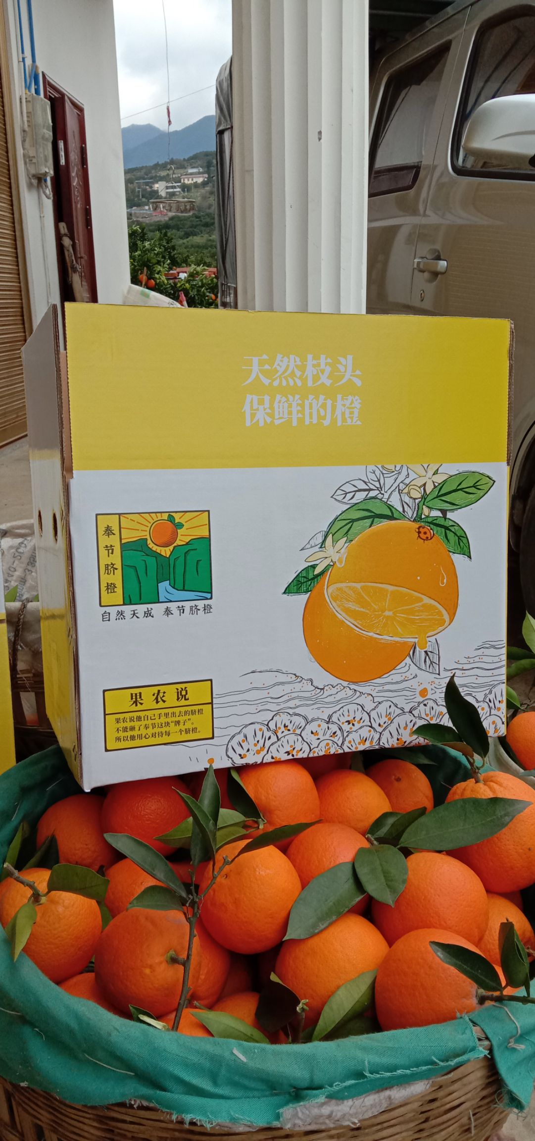 优质奉节脐橙批发零售电商微商直供社区团购一件代发