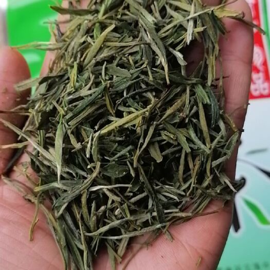 枞阳县 绿茶
