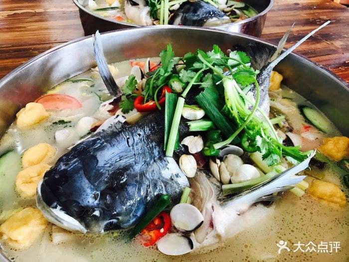 雄鱼 花鲢 千岛湖大头鱼活体发货8-20斤每条